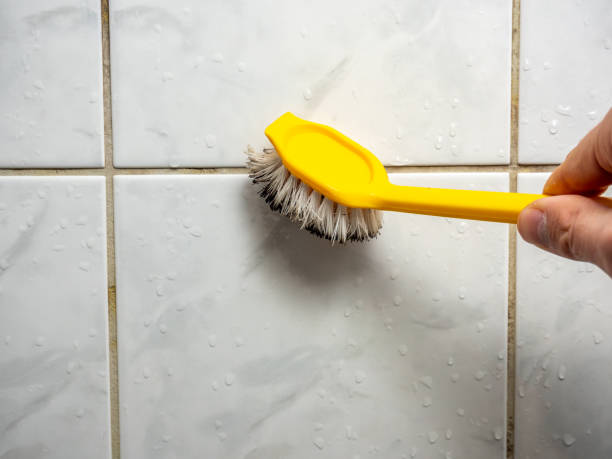 Best Insurance-Related Mold Remediation in Arbury Hls, IL