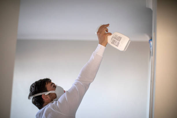 Best Preventive Mold Services in Arbury Hls, IL
