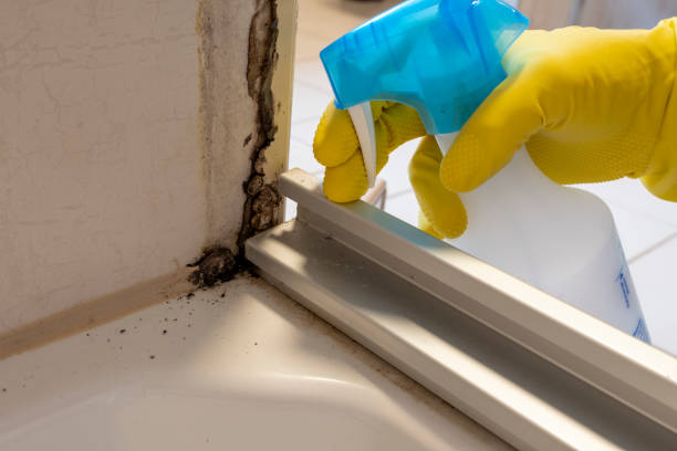 Best Industrial Mold Remediation in Arbury Hls, IL